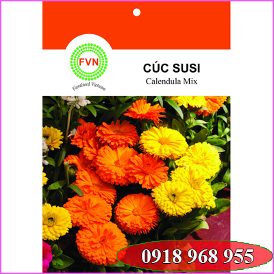 In túi hạt giống| baobigiaphat.vn